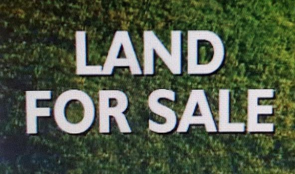 00 Webster Ave , Muscle Shoals, AL 35661